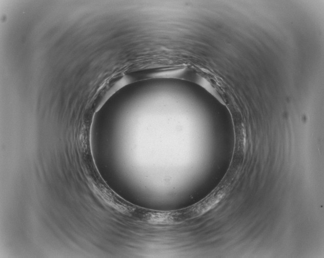 X0000087620088200705120029