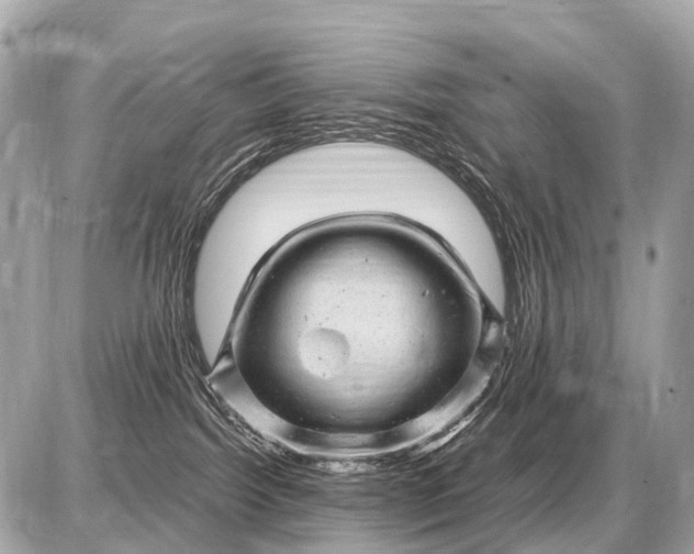 X0000087620092200705120029