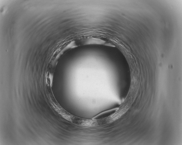 X0000087620096200705120029