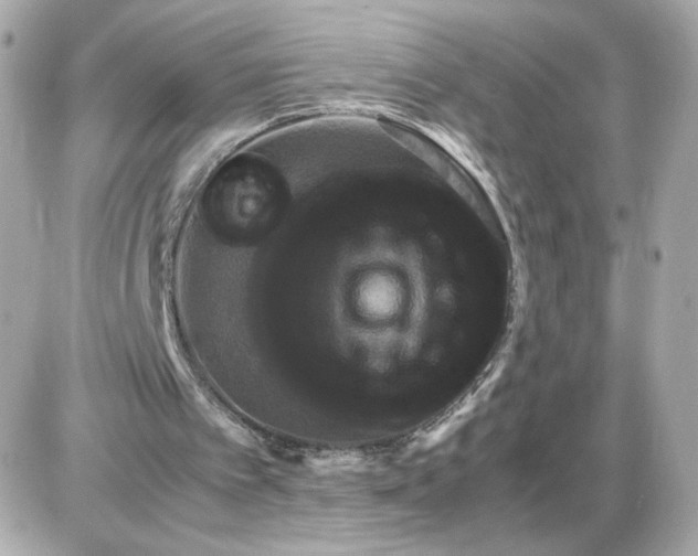 X0000087620097200705120028