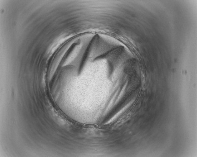 X0000087620098200705120028