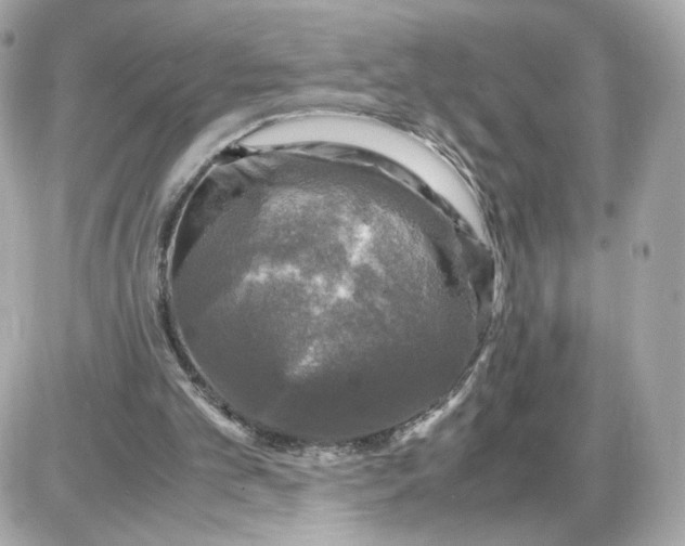 X0000087620101200705120028
