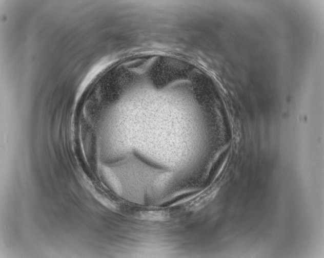 X0000087620102200705120028
