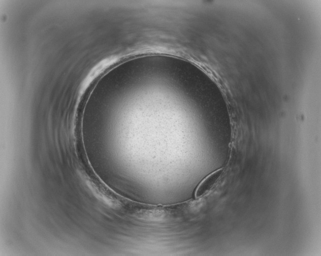 X0000087620104200705120028