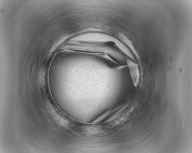 X0000087620106200705120028