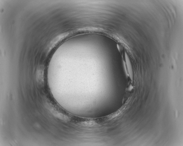 X0000087620112200705120028