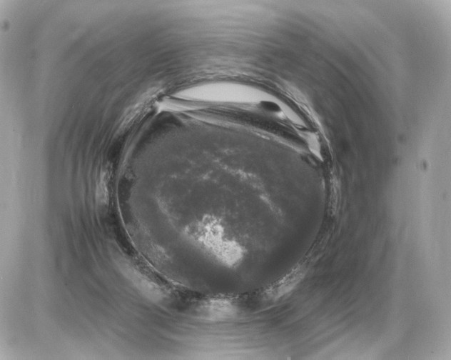X0000087620114200705120028