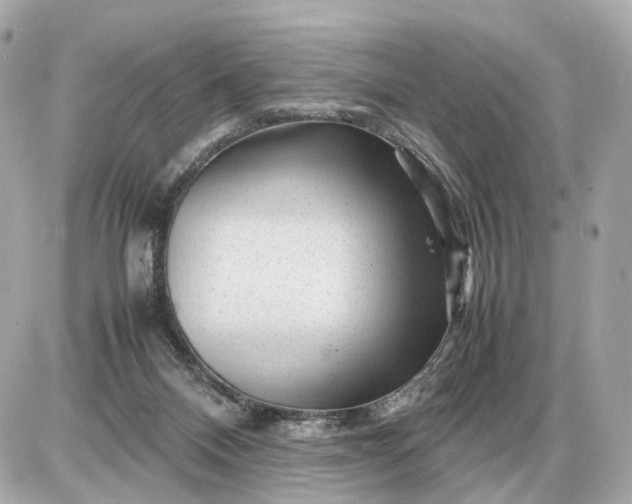 X0000087620120200705120028
