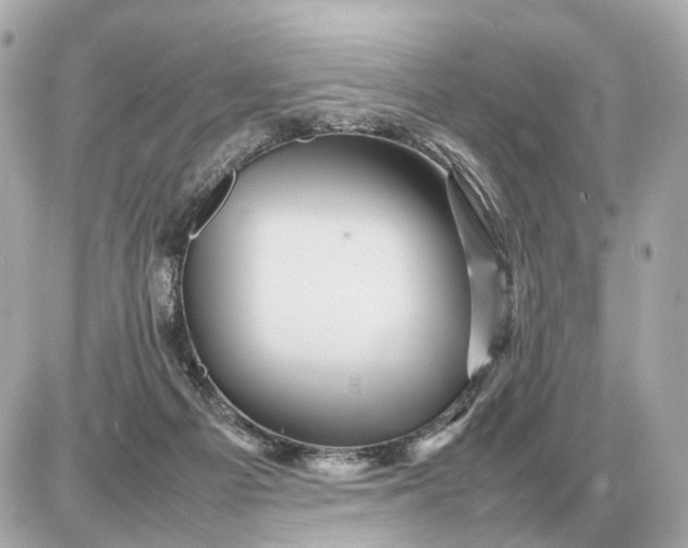 X0000087620121200705120028