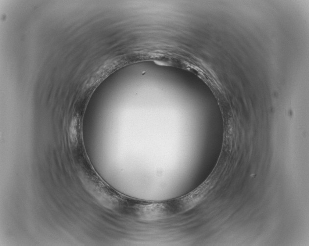 X0000087620122200705120028