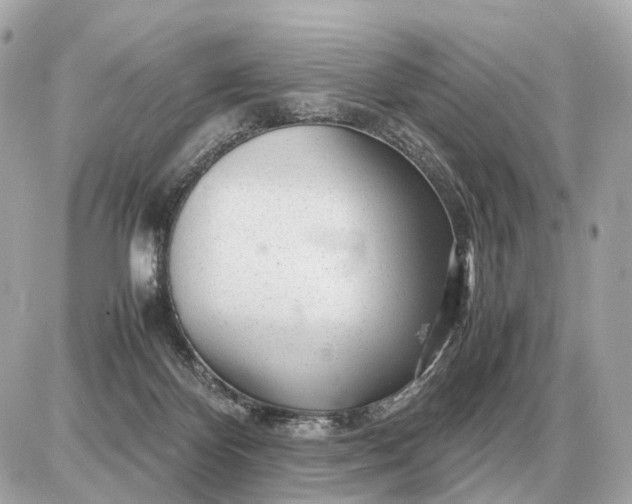 X0000087620124200705120028