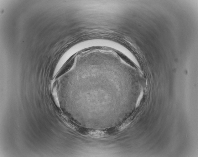 X0000087620125200705120028