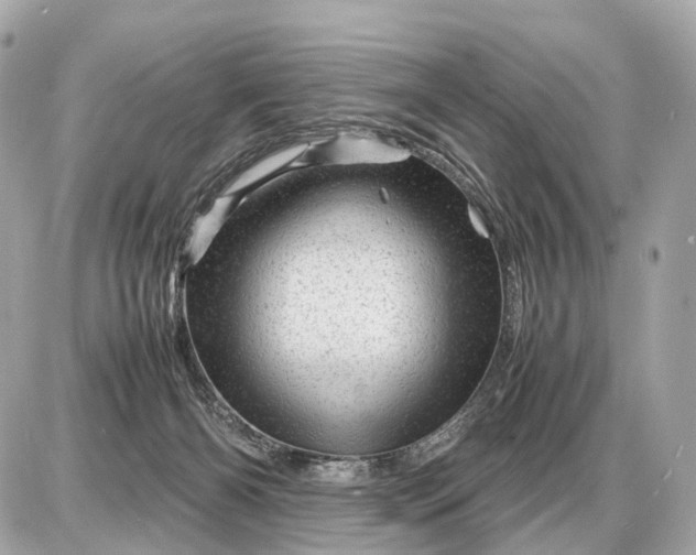 X0000087620126200705120028