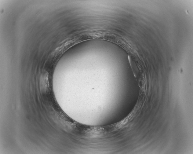 X0000087620128200705120028