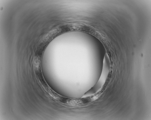 X0000087620129200705120028