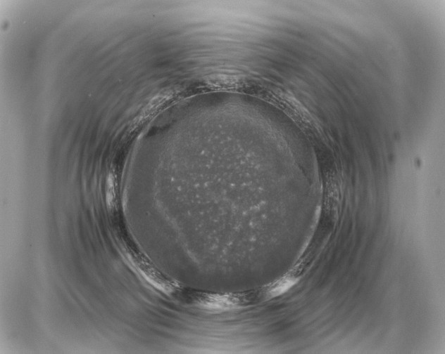 X0000087620130200705120028