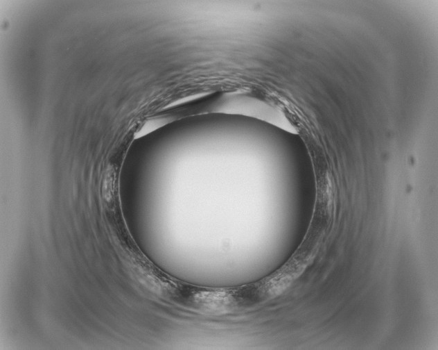 X0000087620133200705120028