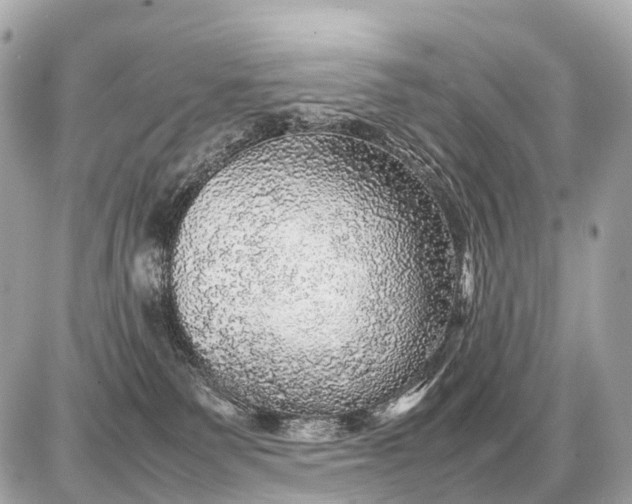 X0000087620135200705120028