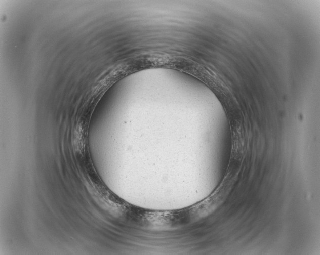 X0000087620136200705120028