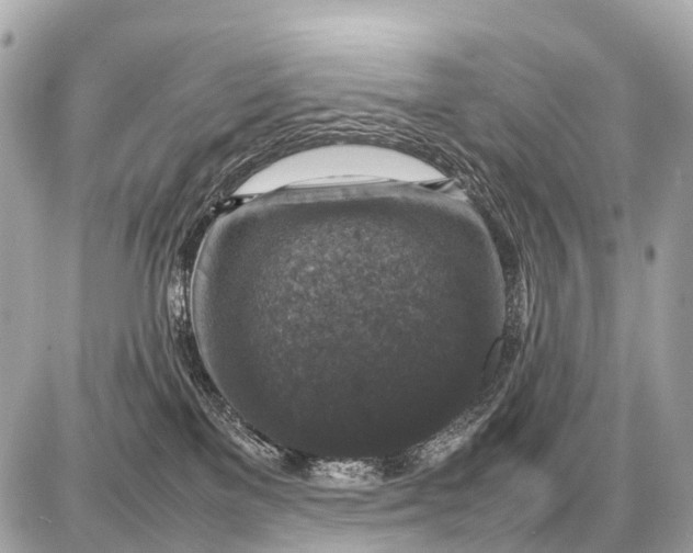 X0000087620137200705120028