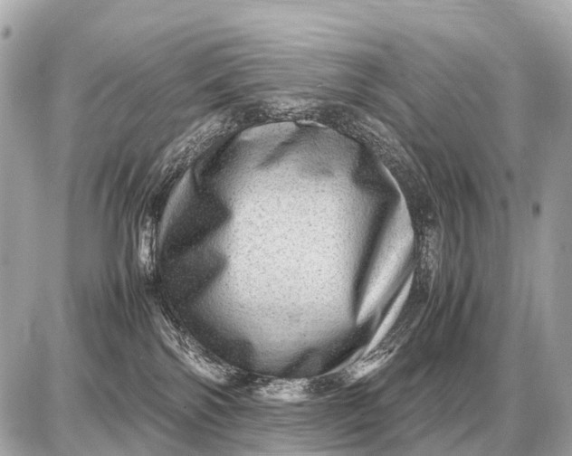 X0000087620138200705120028