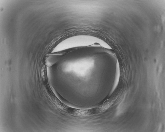X0000087620139200705120028