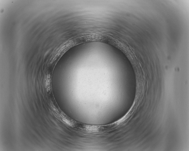 X0000087620144200705120027