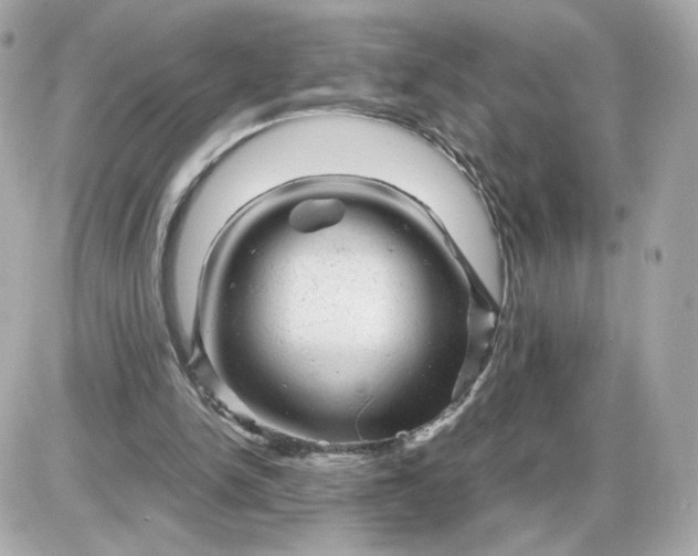X0000087620150200705120027
