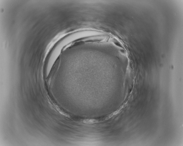 X0000087620152200705120027