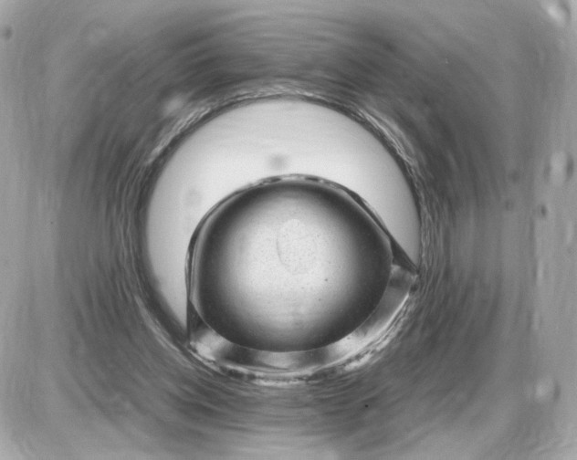 X0000087620158200705120027