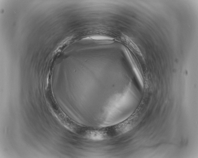 X0000087620163200705120027
