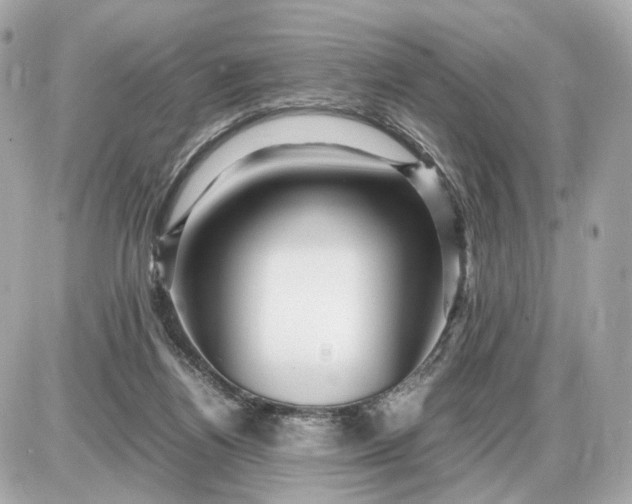 X0000087620164200705120027