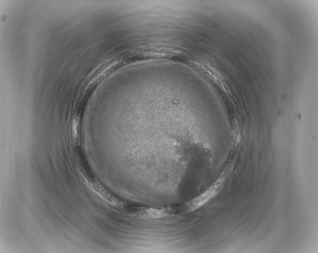 X0000087620166200705120027