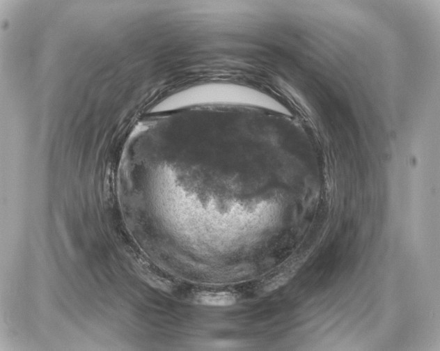 X0000087620169200705120027