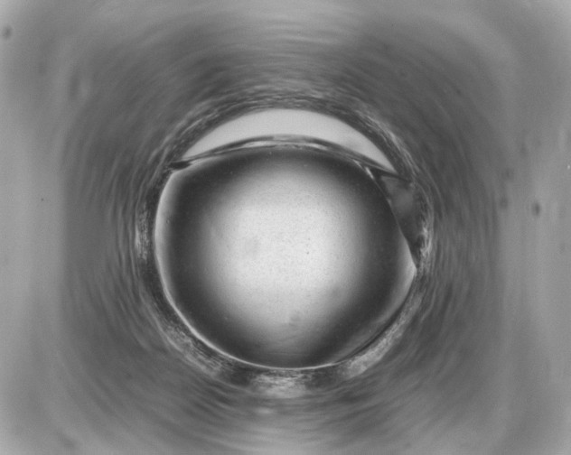 X0000087620170200705120027