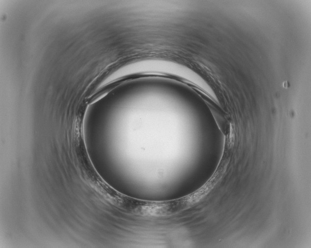X0000087620172200705120027