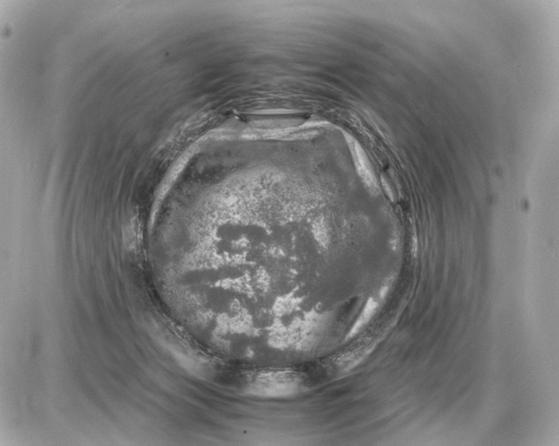 X0000087620173200705120027