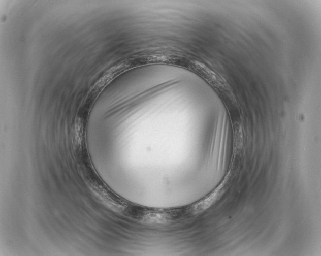 X0000087620174200705120027