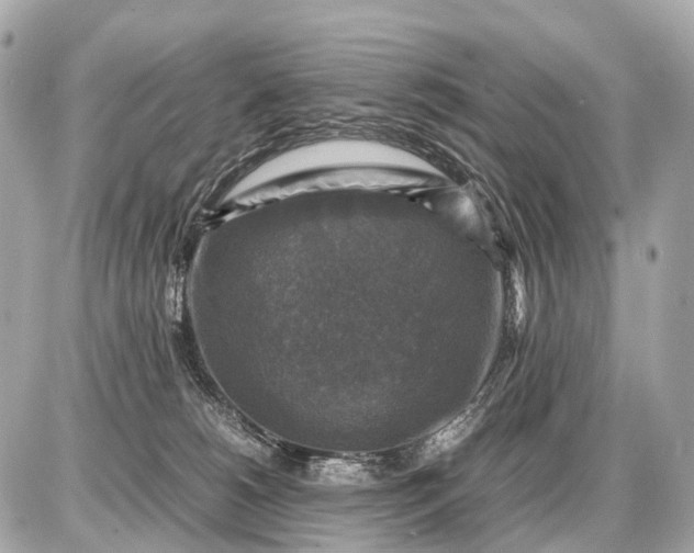 X0000087620180200705120027