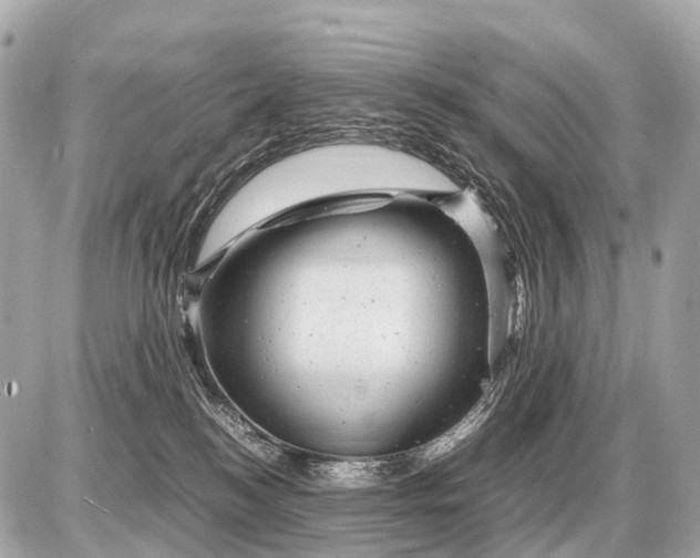 X0000087620184200705120027