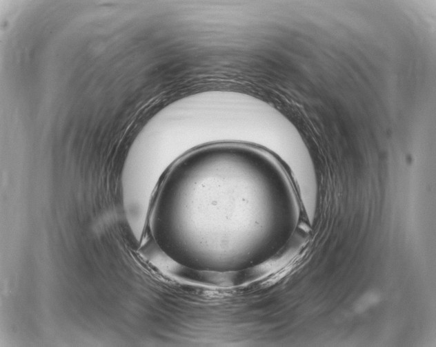X0000087620188200705120027