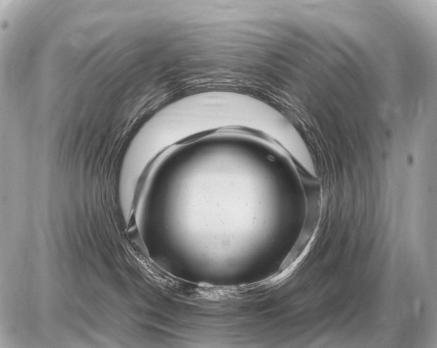 X0000087620190200705120027