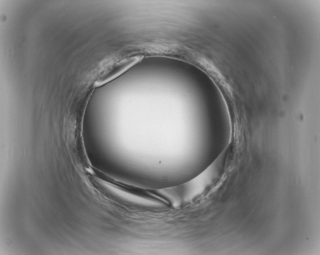 X0000087620201200705120027