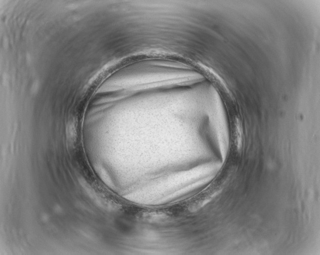 X0000087620208200705120026