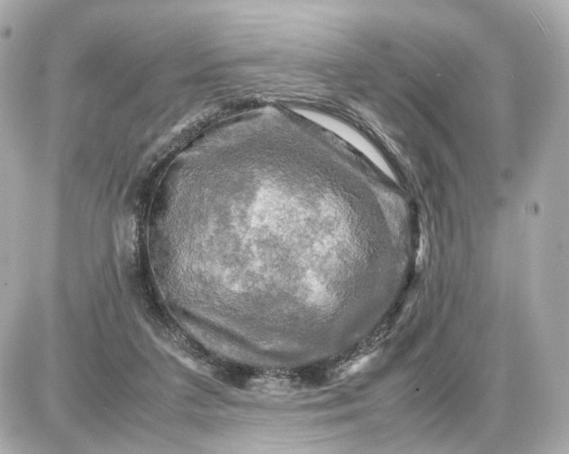 X0000087620211200705120026