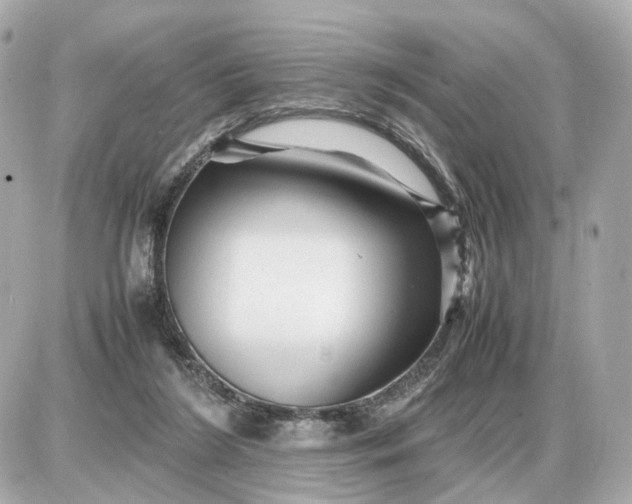 X0000087620212200705120026