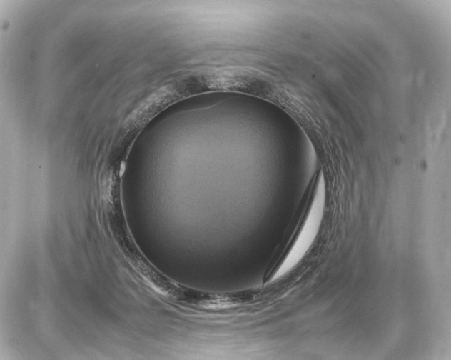 X0000087620219200705120026