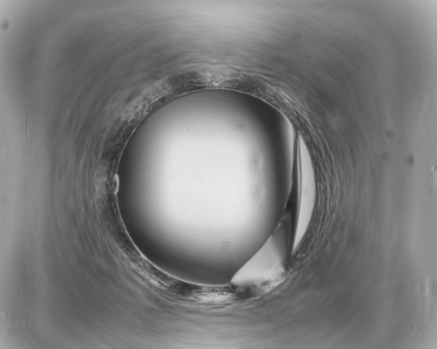 X0000087620221200705120026