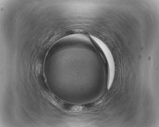X0000087620227200705120026