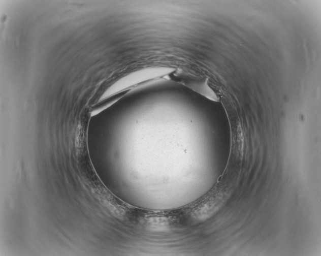 X0000087620228200705120026